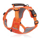🔥Hot sale-70% Off🔥🐕Price - Pet Leash Free!