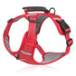 🔥Hot sale-70% Off🔥🐕Price - Pet Leash Free!