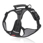 🔥Hot sale-70% Off🔥🐕Price - Pet Leash Free!