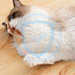 🔥🔥Buy More Save More🔥💥Interactive Cat Bouncy Ball with Feather🔥🔥