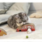 🔥Hot sale-50% Off🔥The Perfect Toy for Your Cat—With a Twist!
