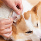 Limited Time Offer 🔥60% OFF Cleaning Swabs for Dogs and Cats