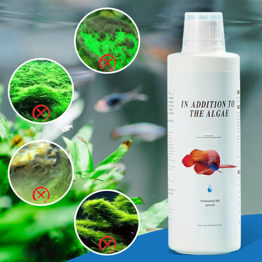🔥2025 Hot Sale🔥Effective Algae Control for Aquarium