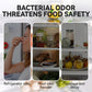 Long Lasting Fresh Refrigerator Deodorizer